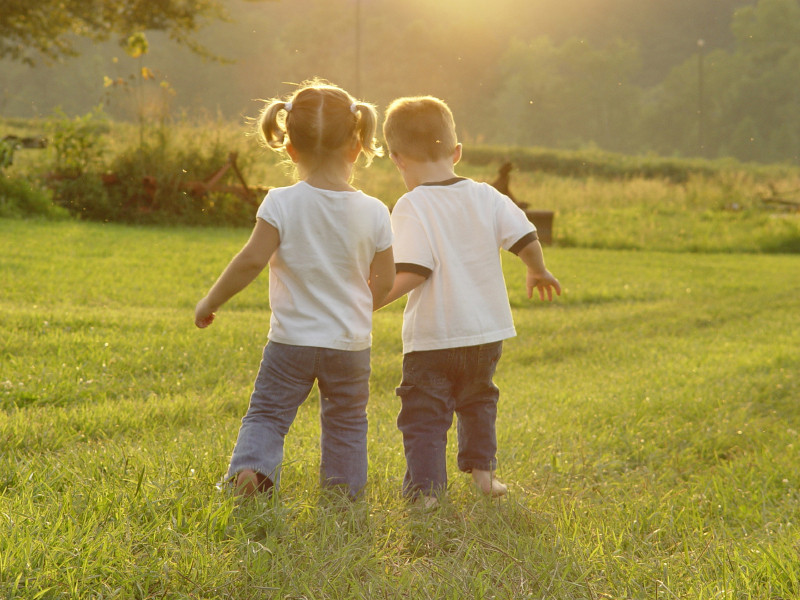 children playing in the backyard