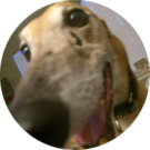Ryan Roberts Avatar